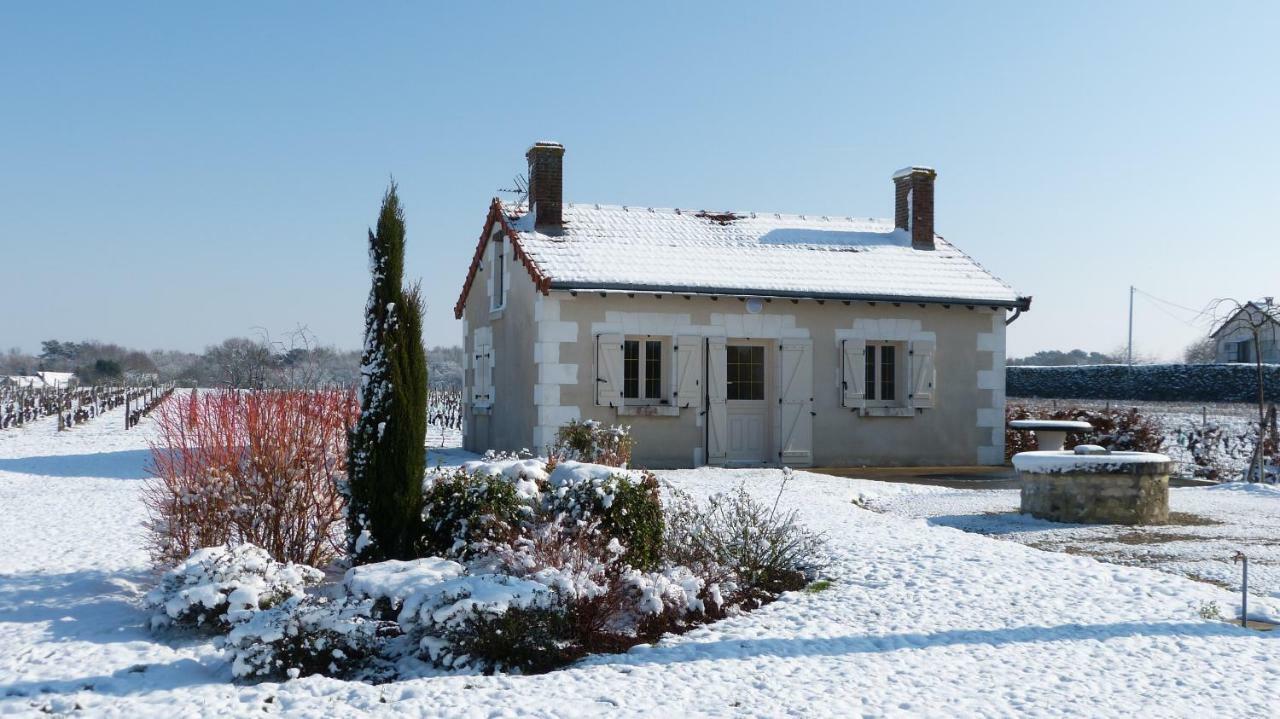 L'Ecrin Au Coeur Des Vignes Villa Saint-Georges-sur-Cher Exterior photo